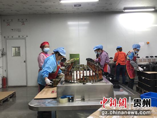 贵州金沙：白酒包装产业链实现大突破