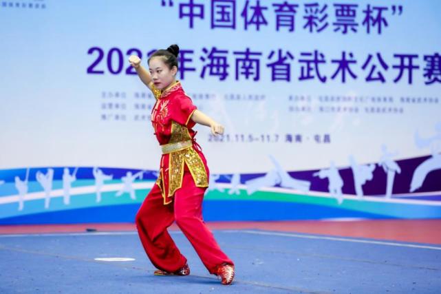 5000元 2022年第二届海南武术节征集会标、吉祥物方案